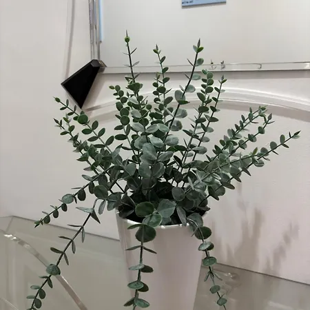 Con Vistas Al Mar En Primera Linea. * Muros